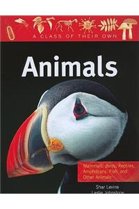 Animals: Mammals, Birds, Reptiles, Amphibians, Fish, and Other Animals