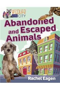 Abandoned and Escaped Animals