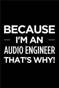 Because I'm an Audio Engineer That's Why