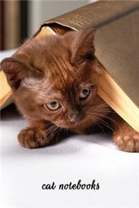 Cat Notebooks