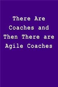 There Are Coaches and Then There Are Agile Coaches