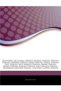 Articles on Zoothera, Including: Orange-Headed Thrush, White's Thrush, Siberian Thrush, Asian Thrush, Varied Thrush, Pied Thrush, Spot-Winged Thrush,