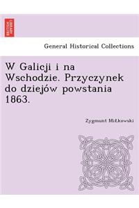 W Galicji I Na Wschodzie. Przyczynek Do Dziejo W Powstania 1863.