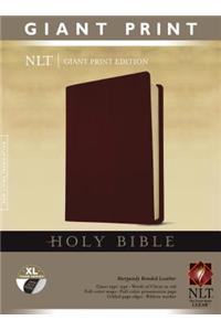 Giant Print Bible-NLT