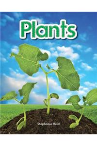 Plants