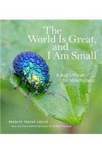 The World Is Great, and I Am Small