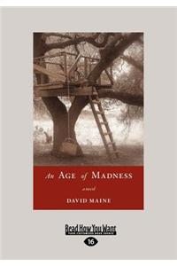 An Age of Madness: A Novel (Large Print 16pt)