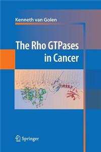 Rho Gtpases in Cancer