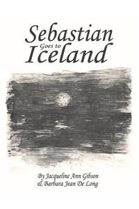 Sebastian Goes to Iceland