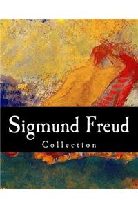 Sigmund Freud, Collection