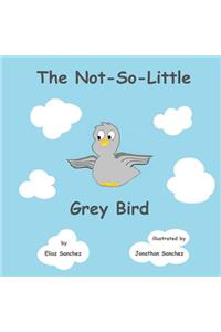 The Not-So-Little Grey Bird