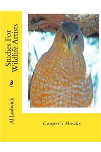 Cooper's Hawks