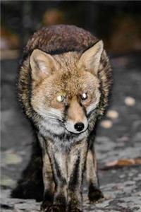 MindBlowing Cut Animal Fox Journal 14