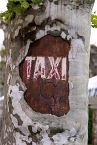 Taxi Sign on a Tree Journal