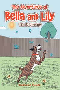 Adventures of Bella and Lily