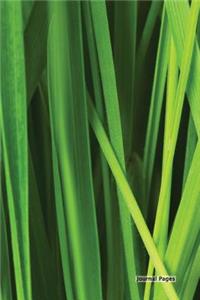 Journal Pages - Green Grass (Decorative)