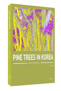 Pine Trees In Korea