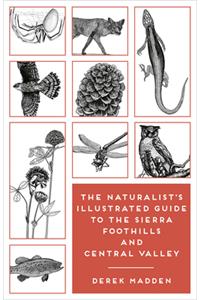 Naturalist's Illustrated Guide to the Sierra Foothills and Central Valley