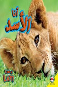 Lion: Arabic-English Bilingual Edition