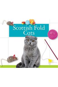 Scottish Fold Cats