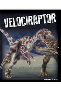 Velociraptor