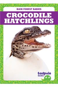 Crocodile Hatchlings