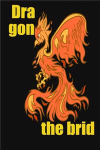Dragon the brid
