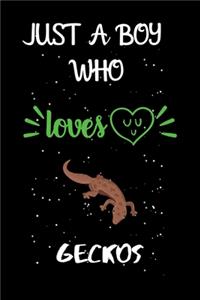 Just A Boy Who Loves Geckos