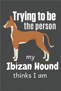 Trying to be the person my Ibizan Hound thinks I am