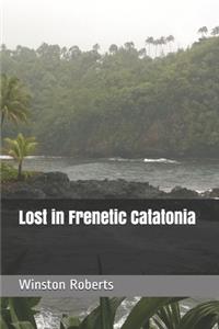 Lost in Frenetic Catatonia
