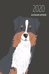 2020 Australian Shepherd