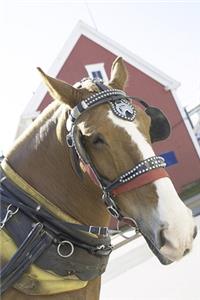 2020 Weekly Planner Horse Photo Equine Chestnut Carriage Horse 134 Pages