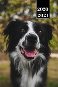 Border Collie Dog Calendar Week Planner 2020 / 2021 - Lovely Look