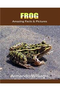 Frog: Amazing Facts & Pictures
