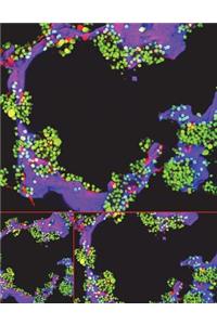 Lab Notebook
