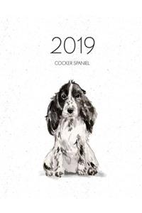 2019 Cocker Spaniel