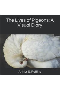The Lives of Pigeons