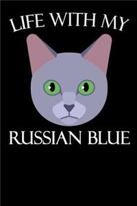 Life with My Russian Blue