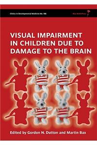 Visual Impairment in Children Due to Damage to the Brain