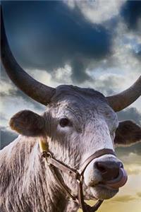 Quite the Handsome Bull Farm Animal Journal
