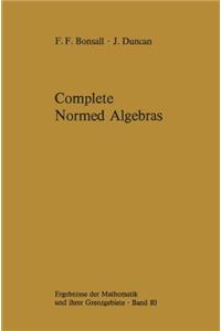 Complete Normed Algebras