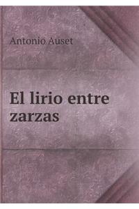 El lirio entre zarzas