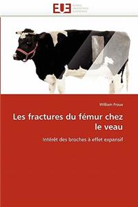 Les Fractures Du Fémur Chez Le Veau