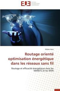 Routage Orienté Optimisation Énergétique Dans Les Réseaux Sans Fil