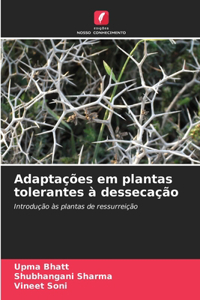 Adaptações em plantas tolerantes à dessecação