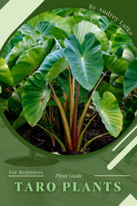 Taro Plants