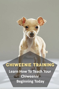 Chiweenie Training