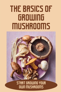The Basics Of Growing Mushrooms