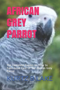 African Grey Parrot