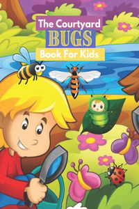 The Courtyard Bugs Book For Kids